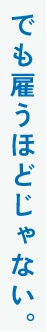 でも雇うほどじゃない。